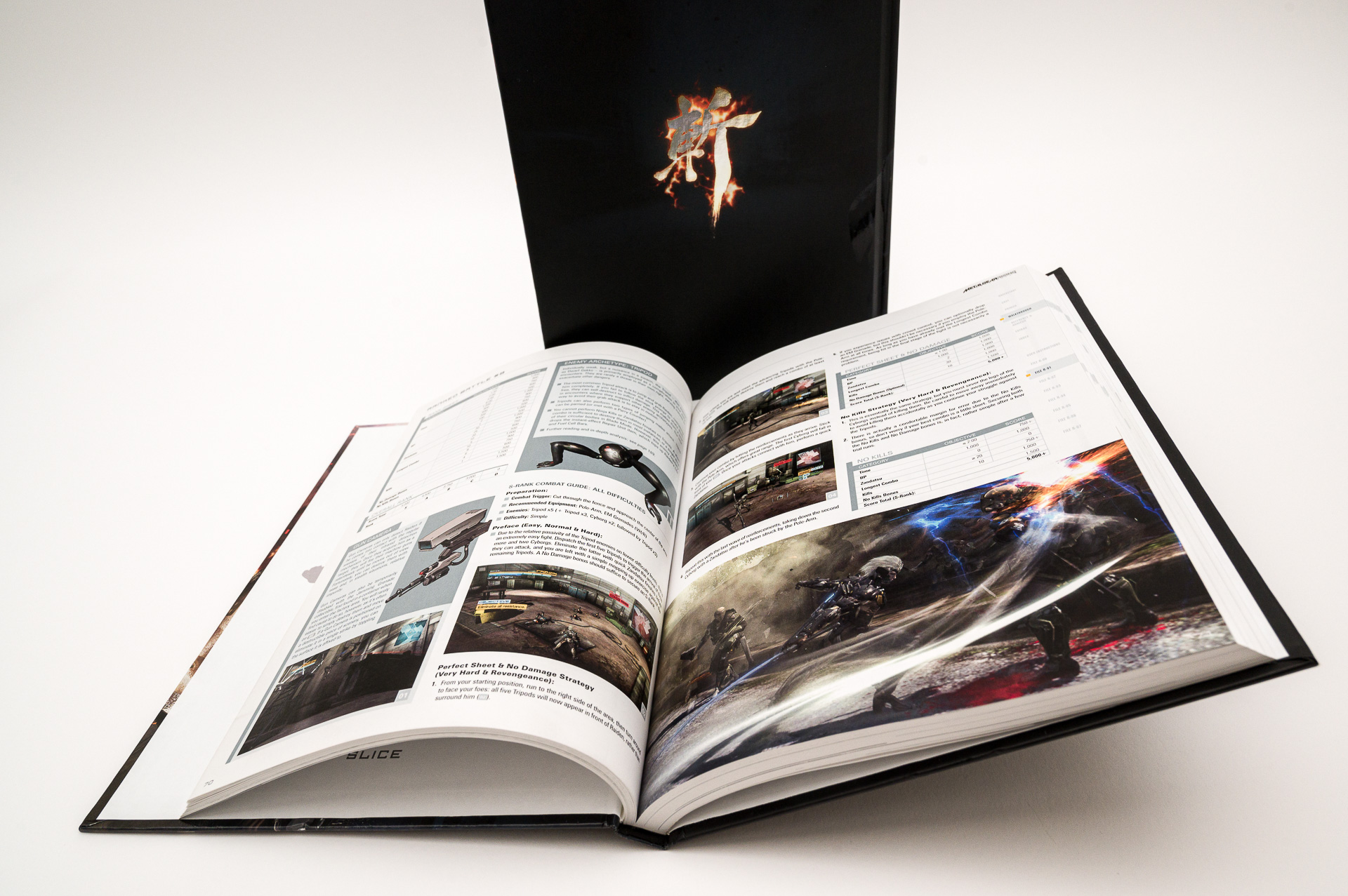 Metal Gear Rising: Revengeance - The Complete Official Guide 