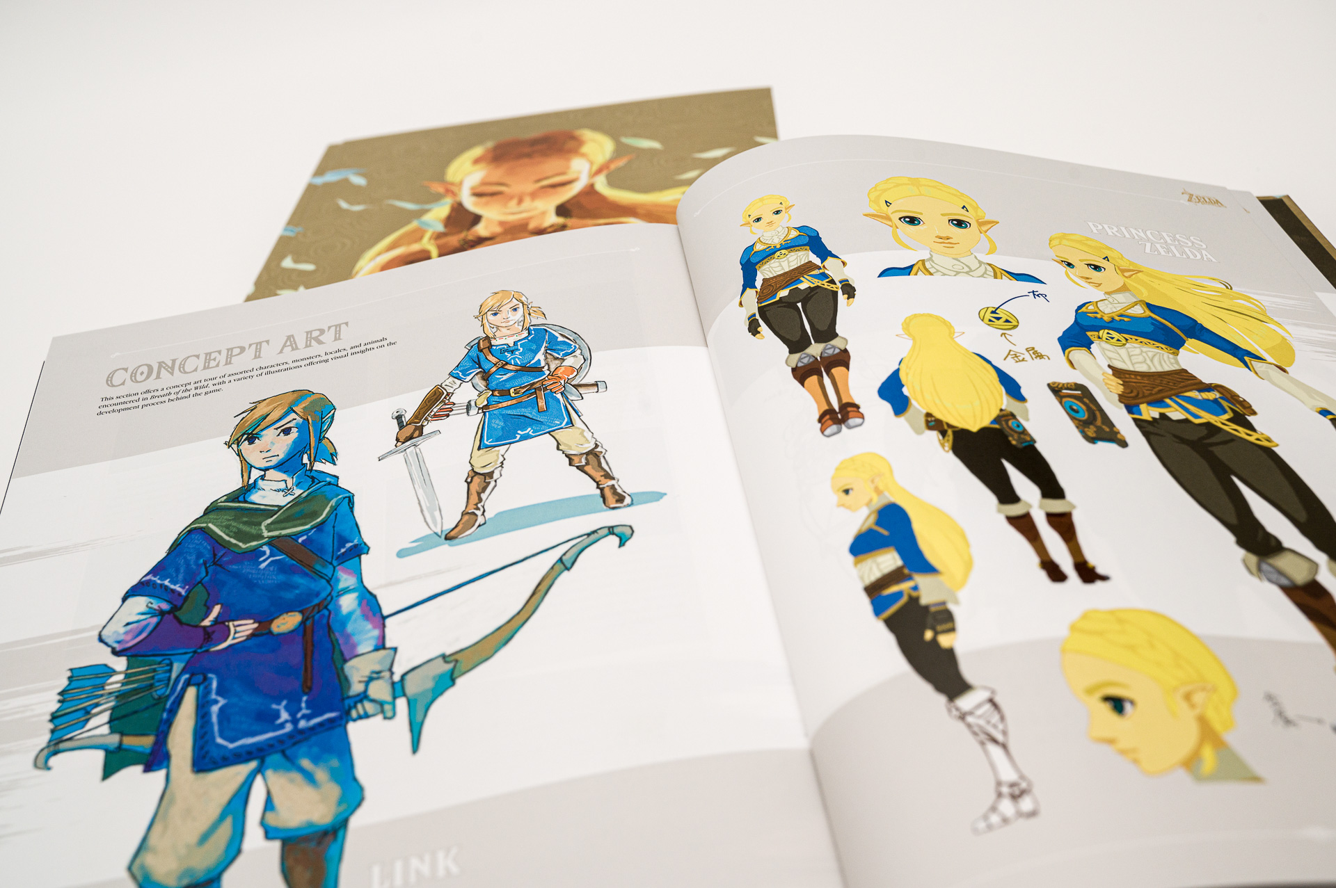 The Legend of Zelda: Breath of the wild - Collector's Edition (game guide)