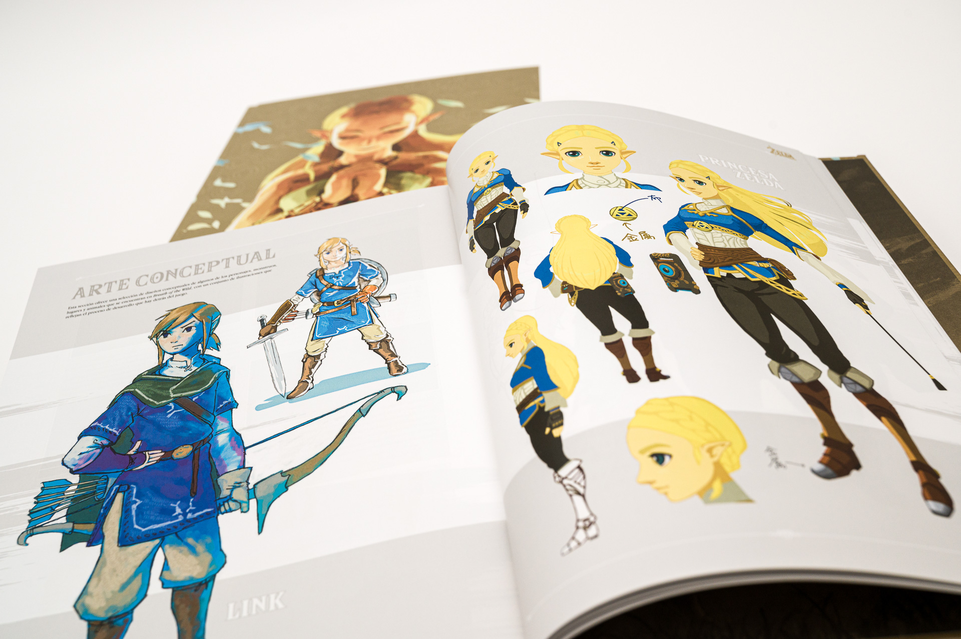 Libro The Legend Of Zelda: Breath Of The Wild [ En Español