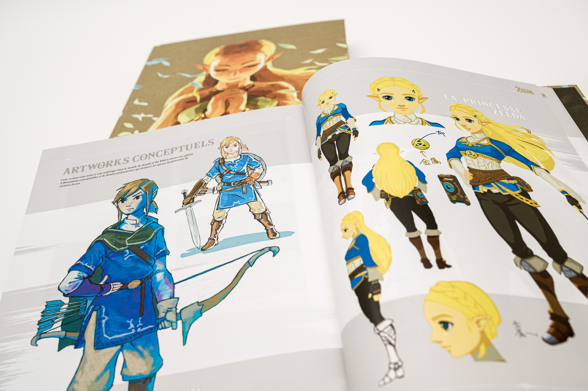 The Legend of Zelda: Breath of the Wild - Création d'un livre à